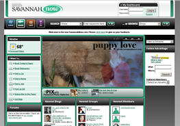 SavannahNow Beta Share 2006-06-06.png